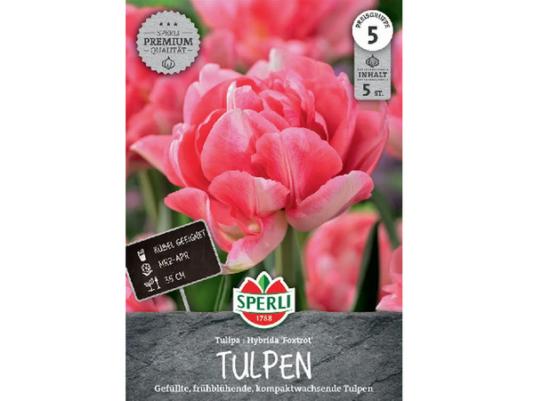 Teltvirágú korai tulipán -rózsaszín